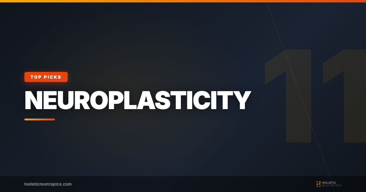 11 Best Supplements For Neuroplasticity