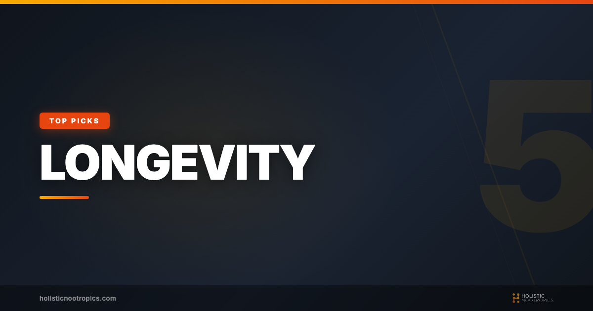 5 Best Spermidine Supplements For Longevity