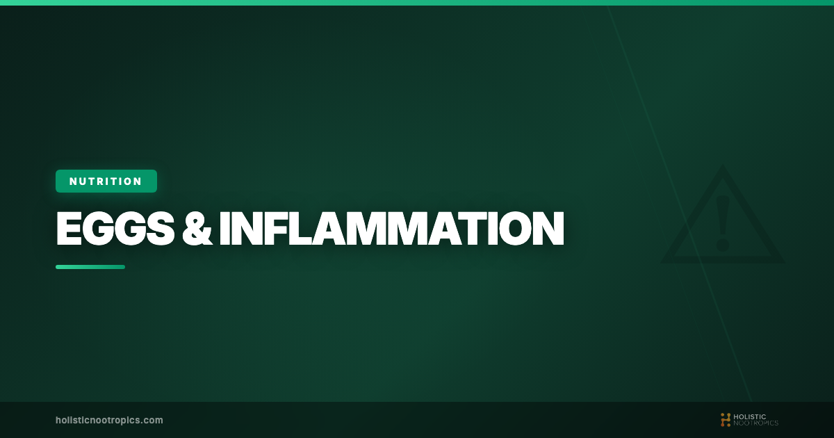 Are Eggs Inflammatory? | The Truth Of Eggs And Inflammation!