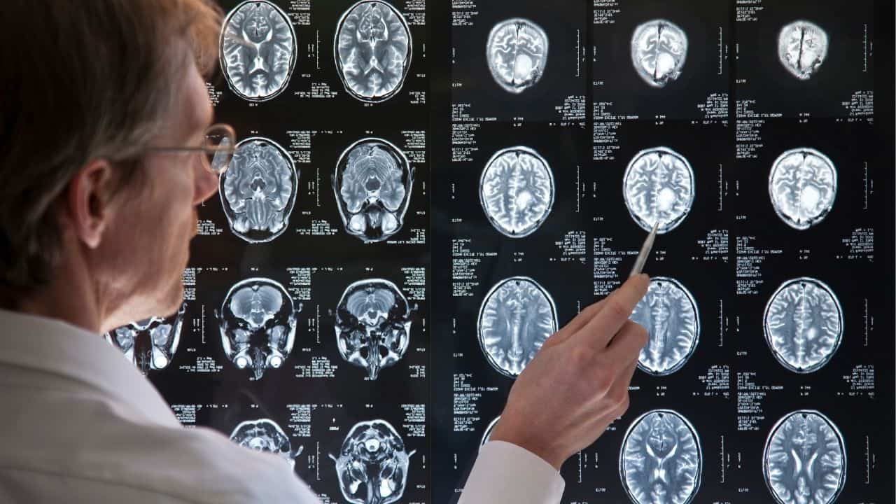 Dynamic Neural Retraining System Review