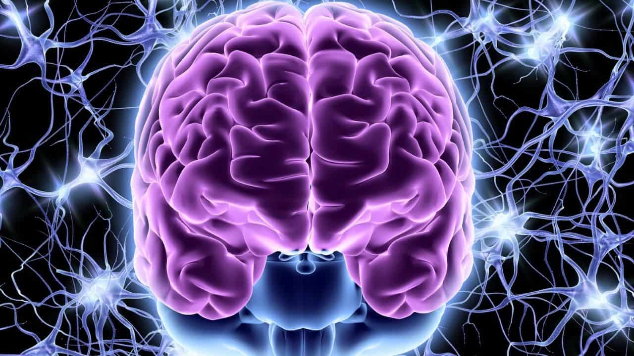 Dynamic Neural Retraining System Review