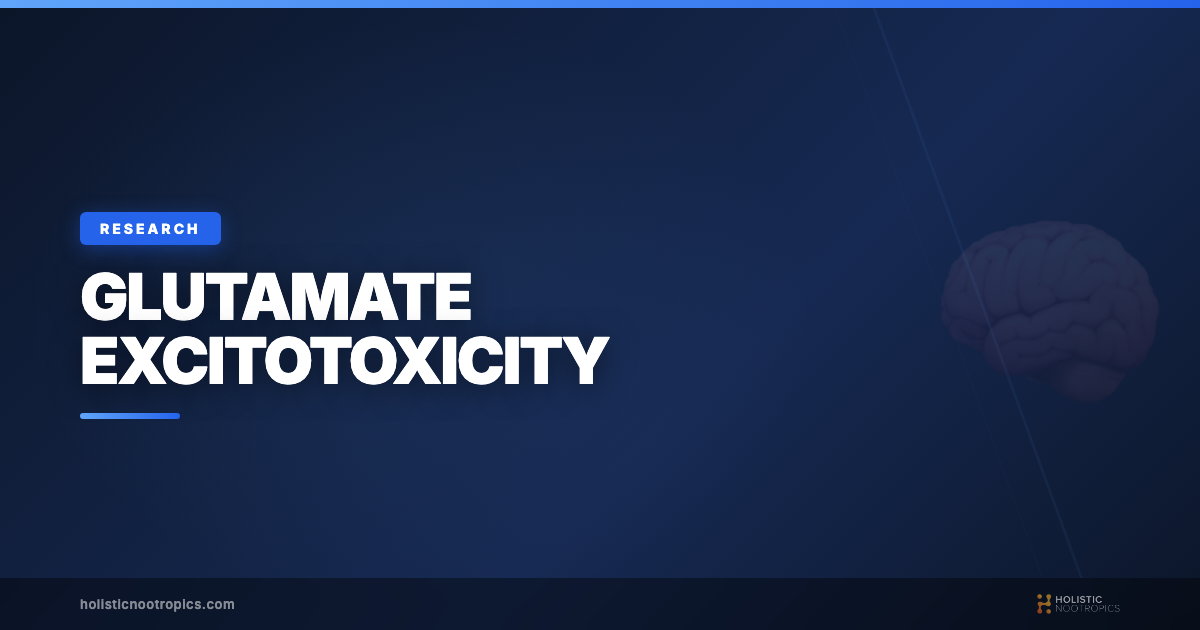 Glutamate Excitotoxicity - A Powerful Neurotransmitter