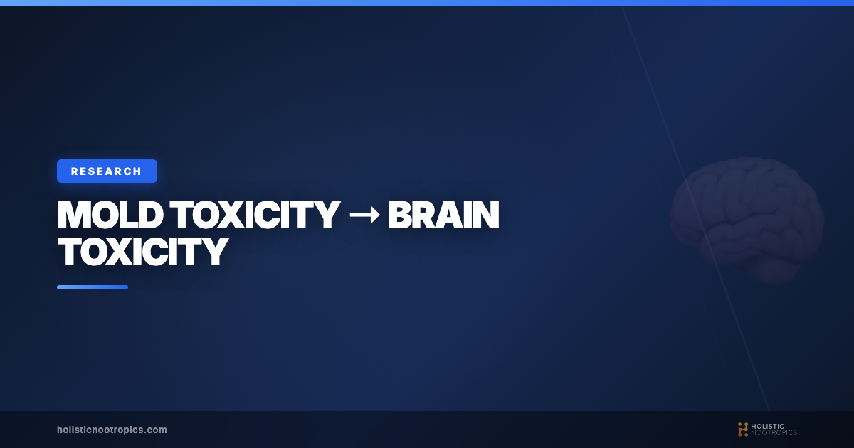 How Mold Toxicity Creates Brain Toxicity