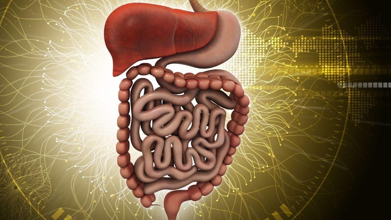 How To Naturally Increase Low Stomach Acid For Optimal Digestion
