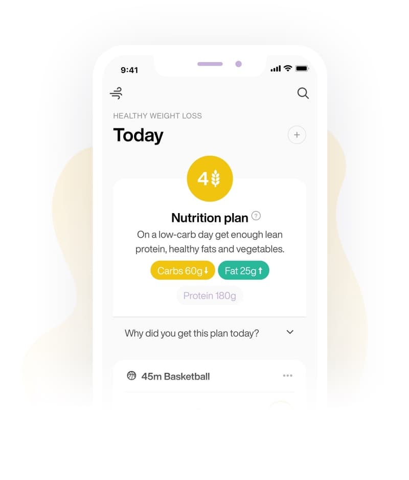 lumen nutrition plan