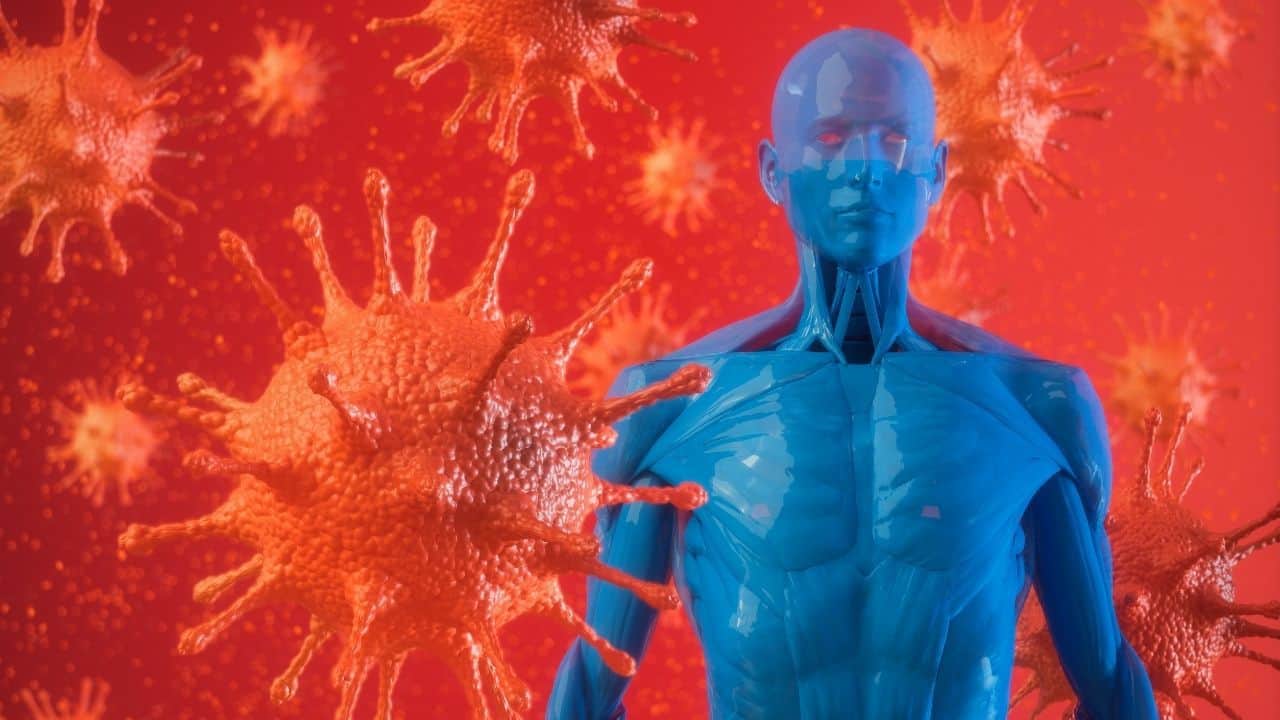 The Best Herbs For Adrenal Fatigue