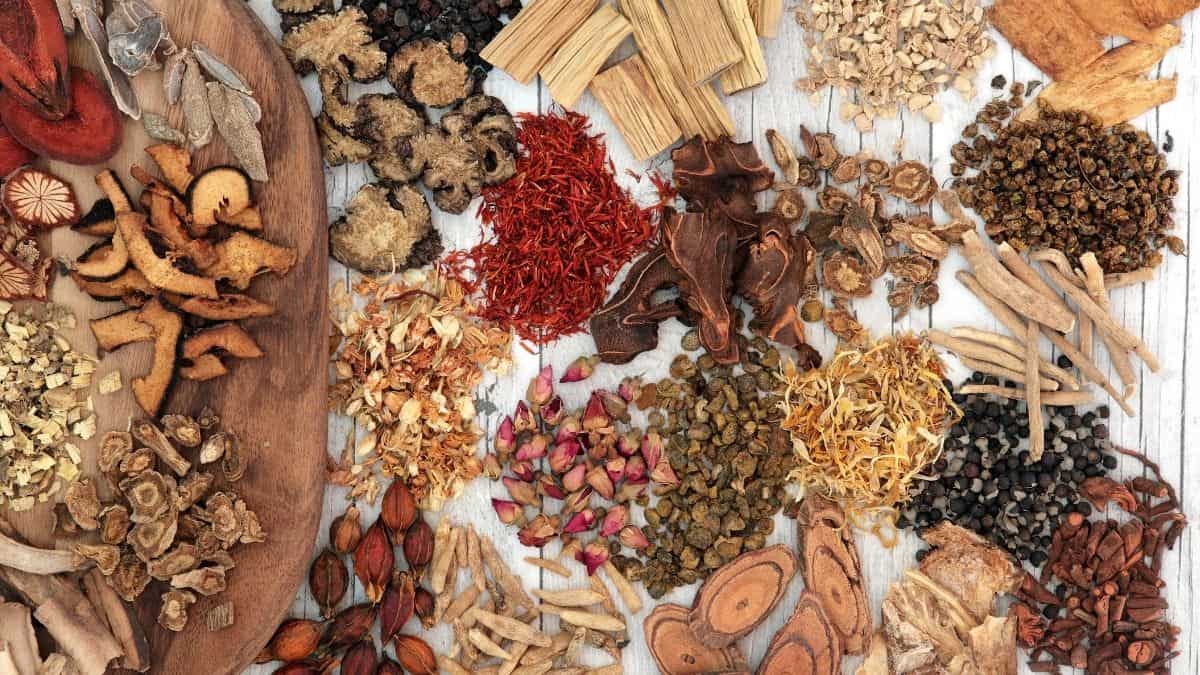 The 9 Best Natural Alternatives To Metformin