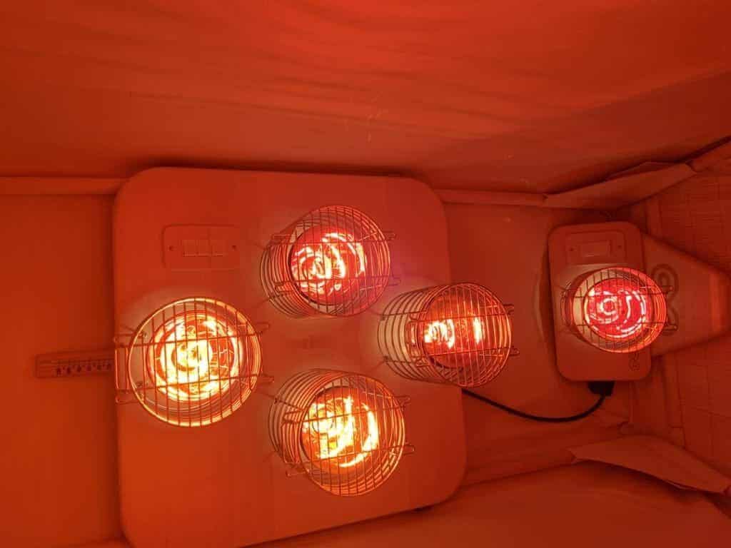 The Amazing Mental Health Benefits Of Red Light Therapy