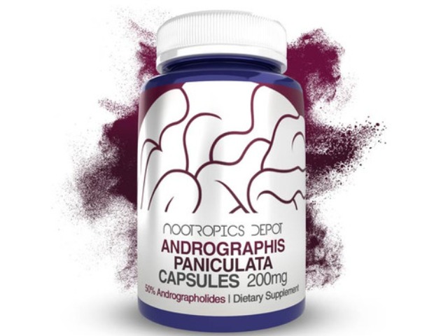 Nootropics Depot Buy Andrographis Paniculata Capsules