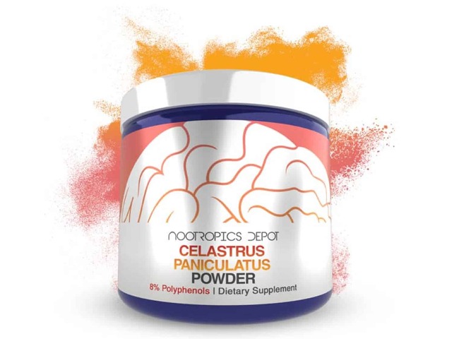 Celastrus Paniculatus by Nootropics Depot
