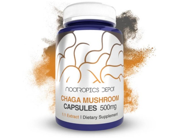 Nootropics Depot Buy Chaga Mushroom Capsules | 500mg | See Inonotus ...