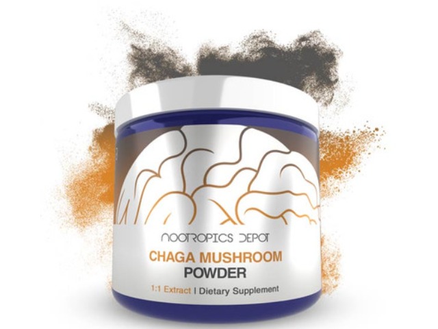 Nootropics Depot Buy Chaga (Inonotus Obliquus) Mushroom Extract Powder