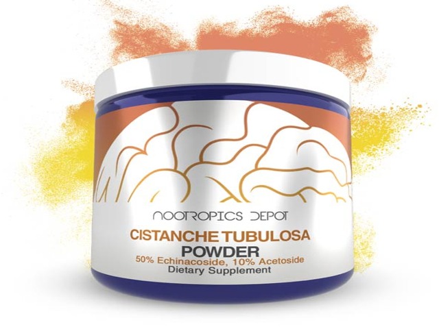 Cistanche tubulosa Powder by Nootropics Depot