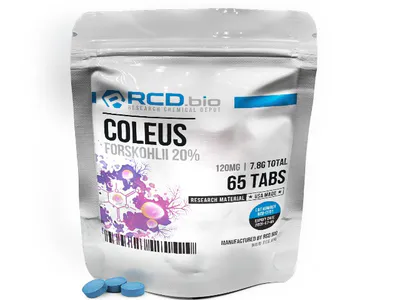 Coleus Forskohlii by Nootropics Unlimited