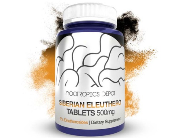 Siberian Eleuthero Tablets | 500mg | 2% Eleutherosides by Nootropics Depot