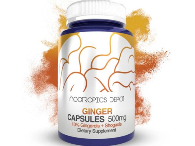 Ginger Extract Capsules | 500mg | Minimum 10% by Nootropics Depot