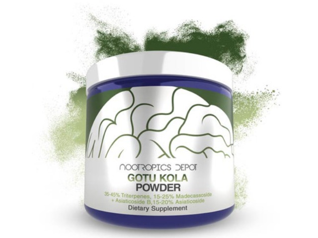 Nootropics Depot Buy Gotu Kola Extract Powder