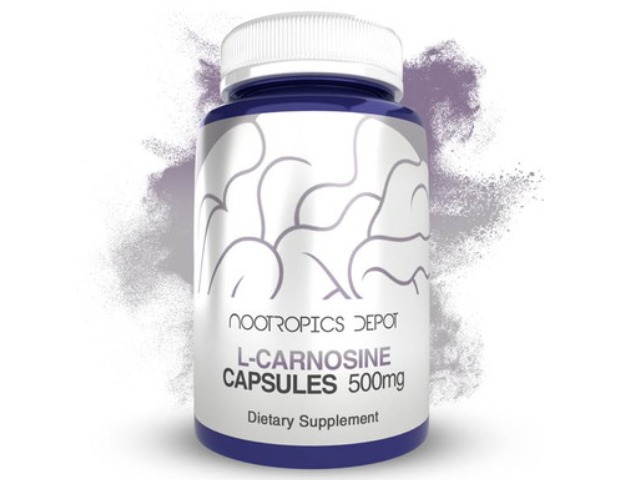 L-Carnosine Capsules | 500mg by Nootropics Depot