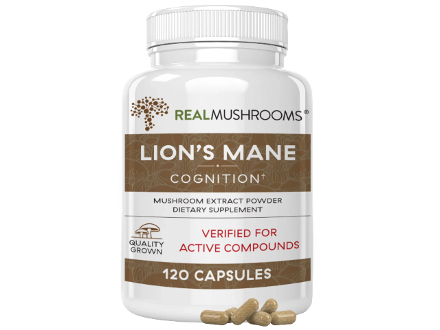 Lion's Mane by Real Mushroom