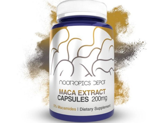 Maca Extract Capsules | 5% Macamides | Lepidium Meyenii by Nootropics Depot