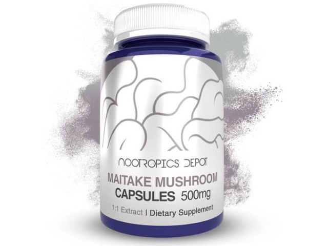 Maitake Mushroom by Nootropics Depot