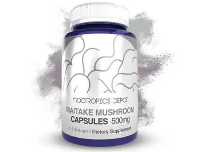 Maitake Mushroom by Nootropics Depot