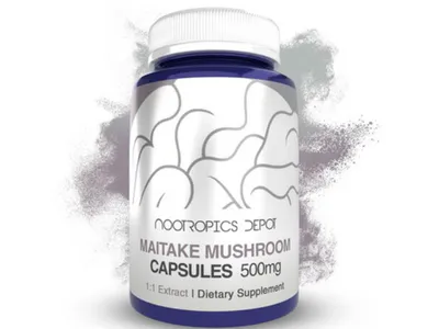 Maitake Mushroom Capsules - Grifola Frondosa by Nootropics Depot