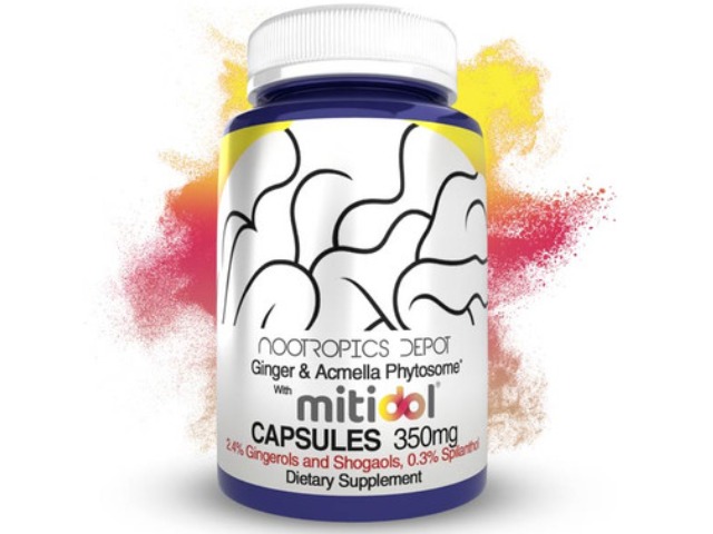 Ginger Acmella Phytosome Capsules by Nootropics Depot