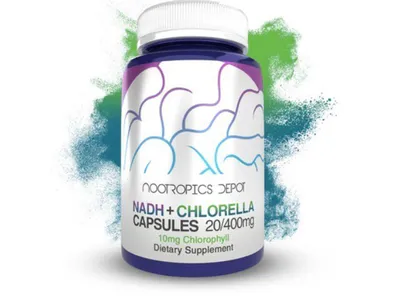 Nadh + Chlorella Capsules | Reduced Nicotinamide by Nootropics Depot