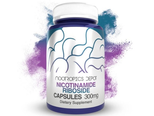 Nicotinamide Riboside Capsules | 300mg | Nad+ Precursor by Nootropics Depot