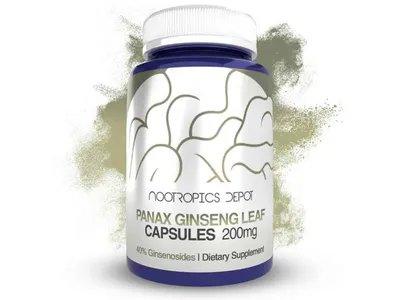 Panax Ginseng by Nootropics Depot