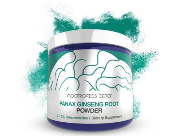 Panax Ginseng Root Extract Powder (7-10% Ginsenosides) by Nootropics Depot