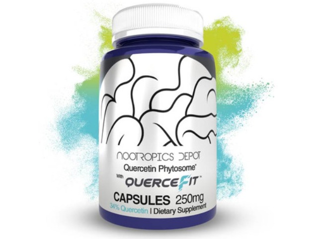 Quercetin Phytosome Capsules | 250mg | High by Nootropics Depot