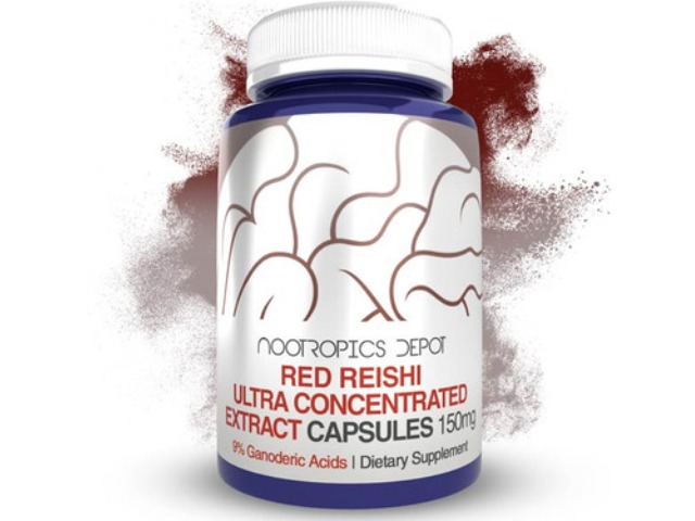 Red Reishi Mushroom Ultra Concentrated Extract by Nootropics Depot