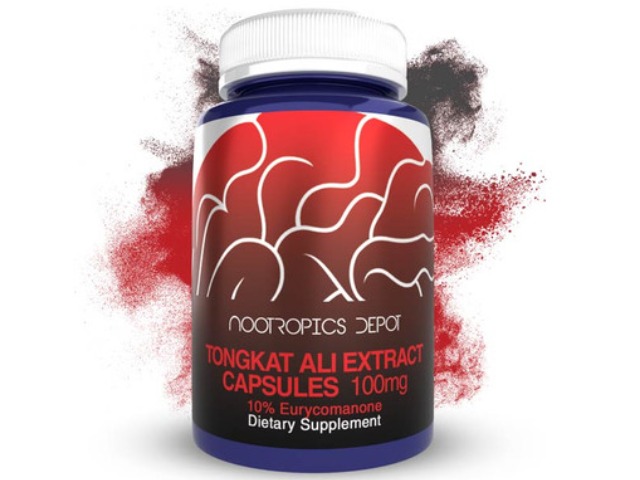 Tongkat Ali Extract Capsules | 100mg | 10% Eurycomanone by Nootropics Depot