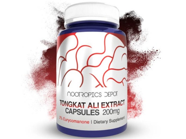 Tongkat Ali Extract Capsules | 200mg | 2% Eurycomanone by Nootropics Depot