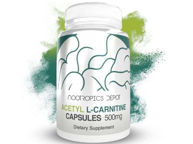 Acetyl L-Carnitine (ALCAR) by Nootropics Depot