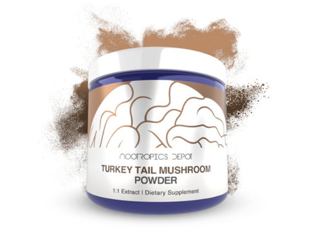 Buy Turkey Tail Mushroom Extract Powder by Nootropics Depot