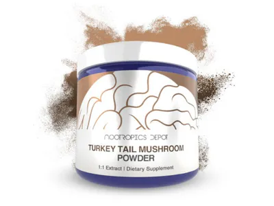 Buy Turkey Tail Mushroom Extract Powder by Nootropics Depot