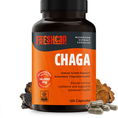 Chaga Mushroom Extract Capsules by FreshCap