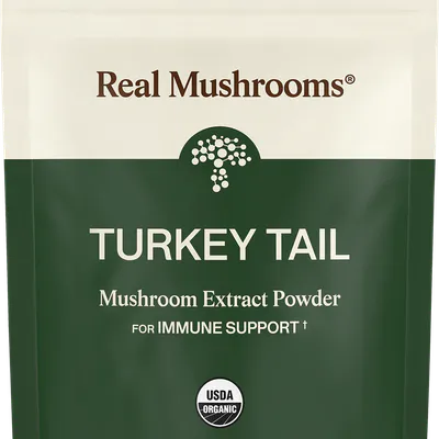 Turkey Tail Extract - Bulk Powder by Real Mushrooms