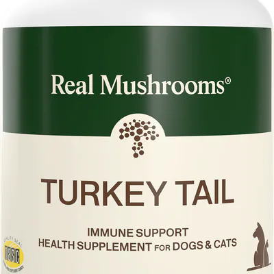 Turkey Tail Extract Capsules for Pets by Real Mushrooms