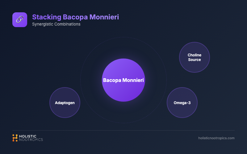best stacking combinations with Bacopa Monnieri - synergy diagram